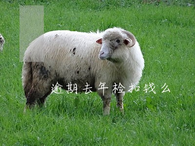 逾期去年检扣钱么 逾期去年检扣钱么