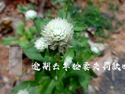 逾期去年检要交罚款吗 逾期去年检要交罚款吗