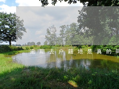 逾期去户籍地是真的吗 逾期去户籍地是真的吗