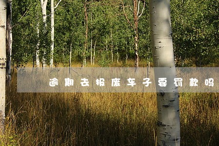 逾期去报废车子要罚款吗 逾期去报废车子要罚款吗
