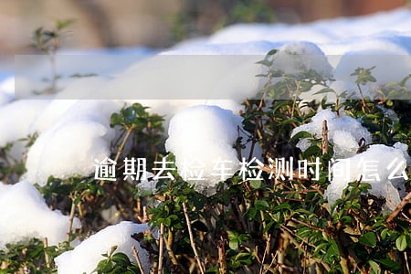 逾期去检车检测时间怎么算 逾期去检车检测时间怎么算