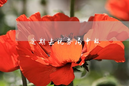 逾期去税务局申报 逾期去税务局申报
