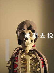 逾期去税务局申报都需要啥资料 逾期去税务局申报都需要啥资料