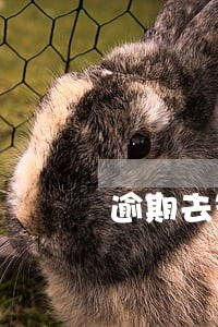 逾期去签购房合同 逾期去签购房合同