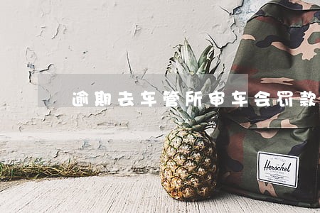 逾期去车管所审车会罚款吗 逾期去车管所审车会罚款吗