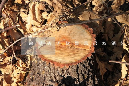逾期去还款显示已核销怎么办 逾期去还款显示已核销怎么办