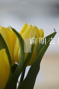 逾期去银行办业务能查出来吗 逾期去银行办业务能查出来吗