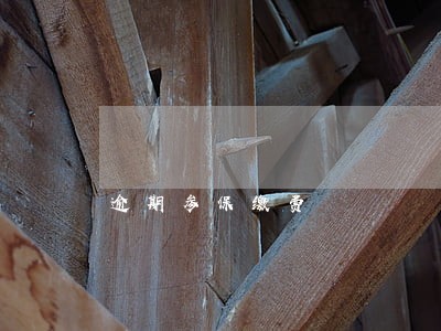 逾期参保缴费 逾期参保缴费