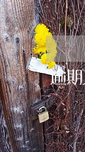 逾期又怕被爆通讯录怎么办 逾期又怕被爆通讯录怎么办