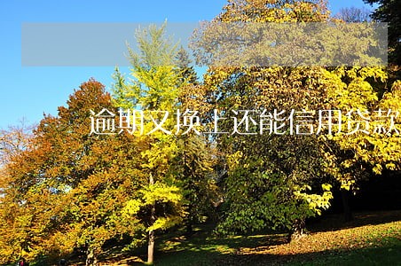 逾期又换上还能信用贷款吗 逾期又换上还能信用贷款吗