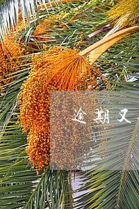逾期又还了几次会上黑名单 逾期又还了几次会上黑名单