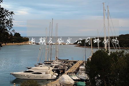逾期及贷发公司邮件吗 逾期及贷发公司邮件吗