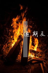 逾期及违约信息中的余额包括 逾期及违约信息中的余额包括