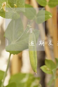 逾期及违约信息有逾期 逾期及违约信息有逾期