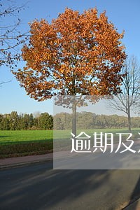 逾期及违约信息概要图解 逾期及违约信息概要图解
