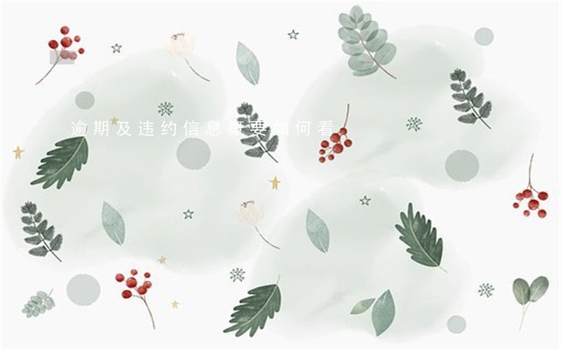 逾期及违约信息概要如何看 逾期及违约信息概要如何看