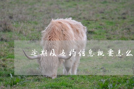逾期及违约信息概要怎么看 逾期及违约信息概要怎么看