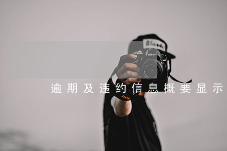 逾期及违约信息概要显示几个月 逾期及违约信息概要显示几个月