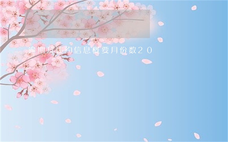 逾期及违约信息概要月份数20