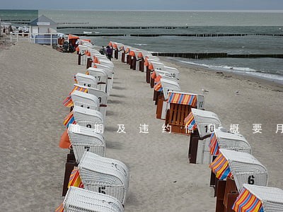 逾期及违约信息概要月份数30 逾期及违约信息概要月份数30