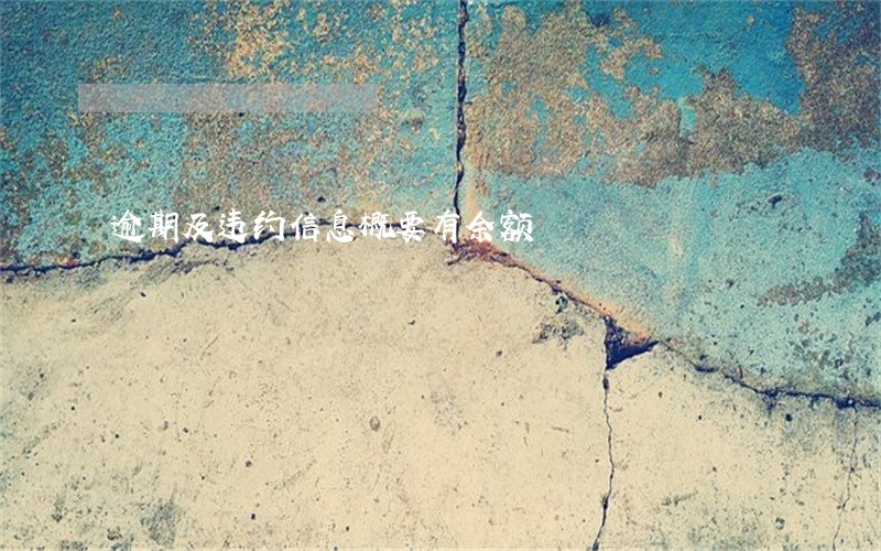 逾期及违约信息概要有余额 逾期及违约信息概要有余额