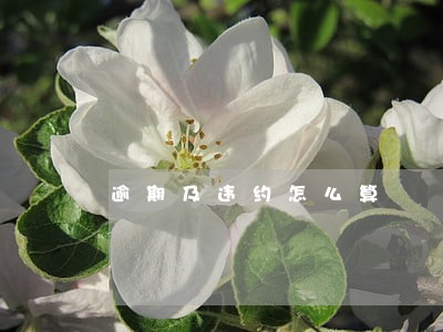 逾期及违约怎么算 逾期及违约怎么算