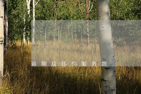 逾期及违约服务费 逾期及违约服务费
