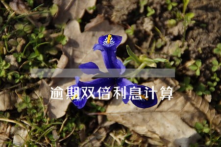 逾期双倍利息计算 逾期双倍利息计算