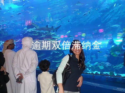 逾期双倍滞纳金