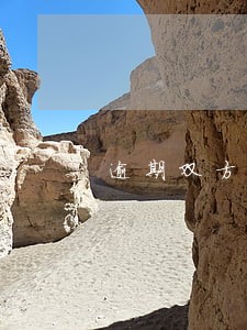 逾期双方加起来超过6次 逾期双方加起来超过6次
