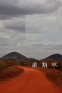 逾期双黑口子 逾期双黑口子