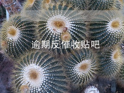 逾期反催收贴吧 逾期反催收贴吧