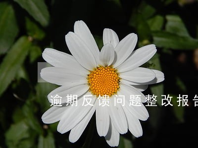 逾期反馈问题整改报告