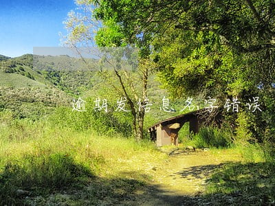 逾期发信息名字错误 逾期发信息名字错误