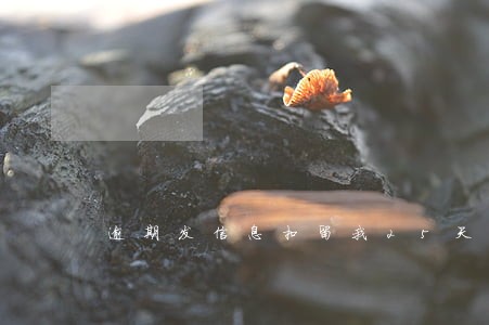 逾期发信息扣留我25天 逾期发信息扣留我25天