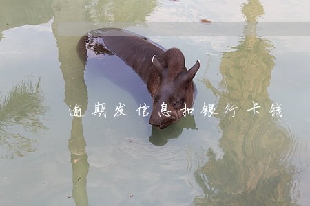 逾期发信息扣银行卡钱