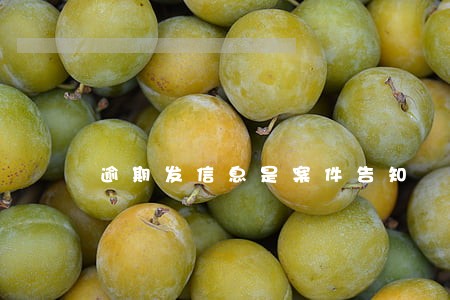 逾期发信息是案件告知