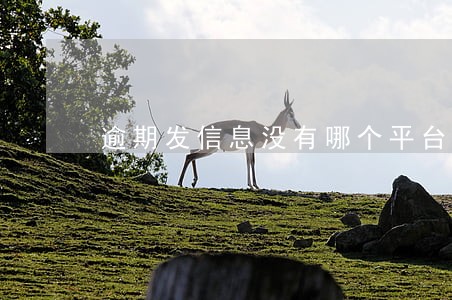 逾期发信息没有哪个平台 逾期发信息没有哪个平台