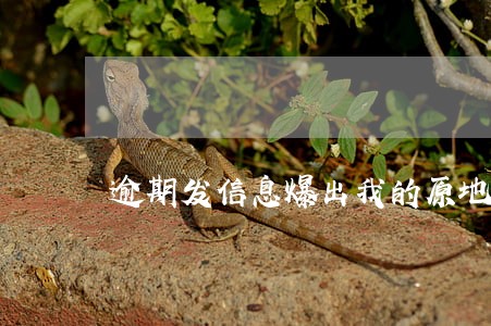 逾期发信息爆出我的原地址 逾期发信息爆出我的原地址
