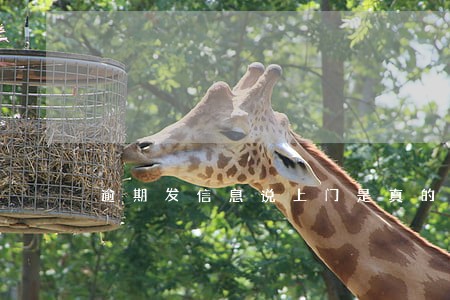 逾期发信息说上门是真的么