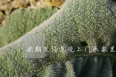 逾期发信息说上门来家里 逾期发信息说上门来家里