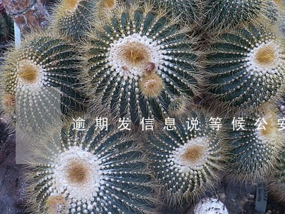 逾期发信息说等候公安传唤 逾期发信息说等候公安传唤