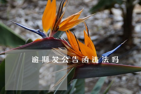 逾期发公告函违法吗 逾期发公告函违法吗