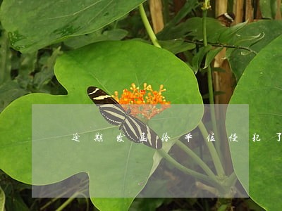 逾期发函给单位侵犯了个人隐私权 逾期发函给单位侵犯了个人隐私权
