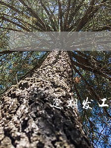 逾期发工资会产生滞纳金吗 逾期发工资会产生滞纳金吗