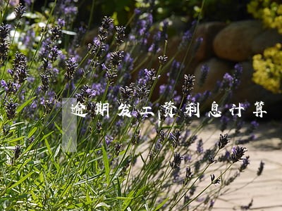 逾期发工资利息计算 逾期发工资利息计算