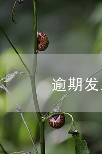 逾期发工资可以赔偿吗 逾期发工资可以赔偿吗