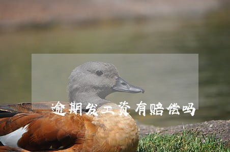 逾期发工资有赔偿吗 逾期发工资有赔偿吗