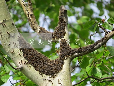 逾期发工资罚款 逾期发工资罚款