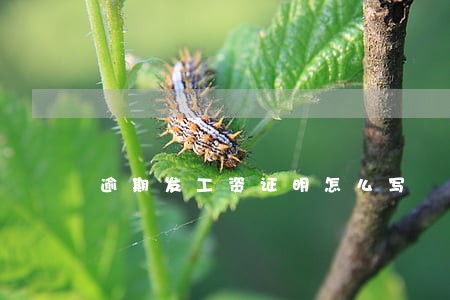 逾期发工资证明怎么写 逾期发工资证明怎么写